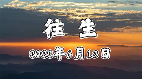 動物有靈性嗎|鳥類展現的靈性層面